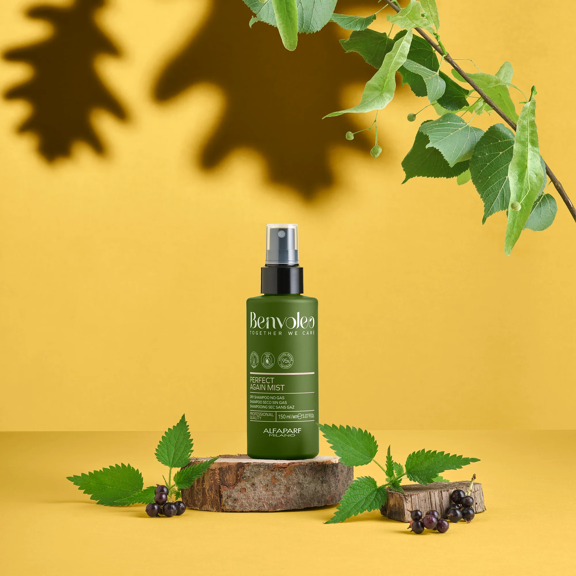 Benvoleo Perfect Again Dry Shampoo Mist - Image 4