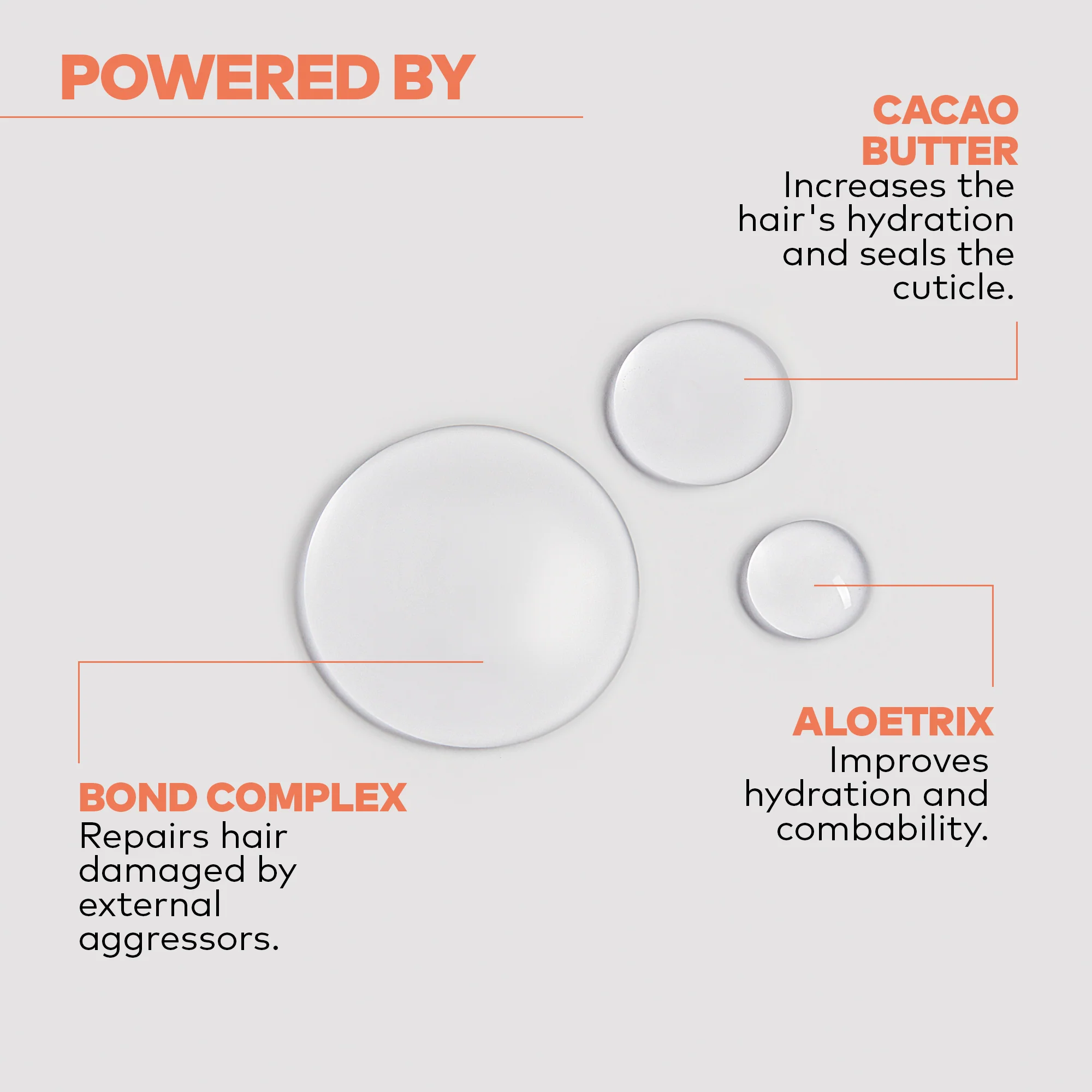 Yellow Reparative Shampoo - Image 6
